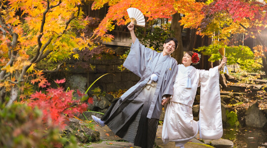 すべての基本プラン 